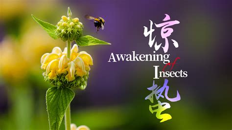 the awakening of insects.